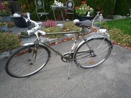 Oldi Herrenvelo Cosmos