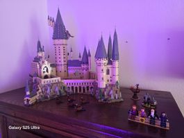 Lego Harry Potter Hogwarts Schloss 71043 inkl. Bauanleitung