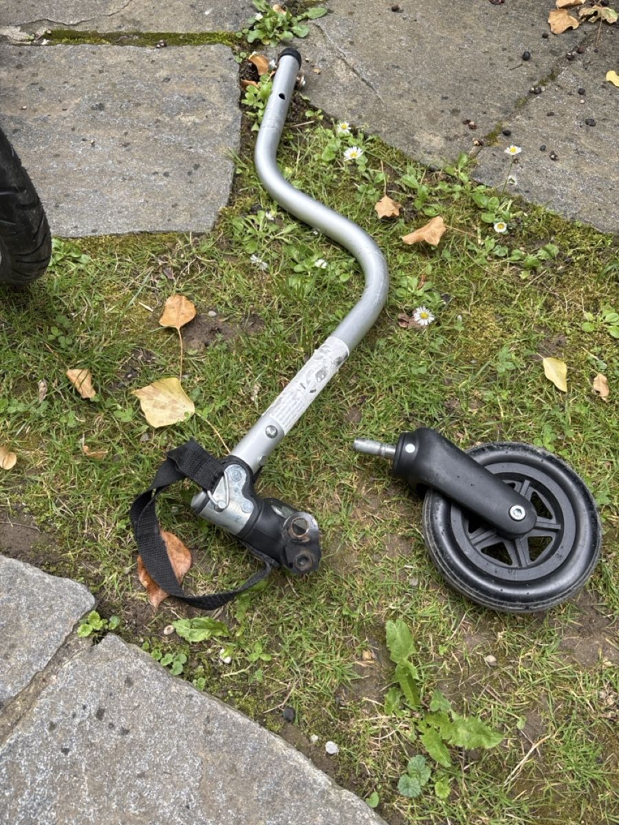 Croozer Rimorchi: Croozer Veloanhänger – Usato da Basel venduto da buyitbyisa 3