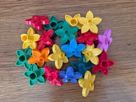 Duplo 20 Blümchen (Y221)