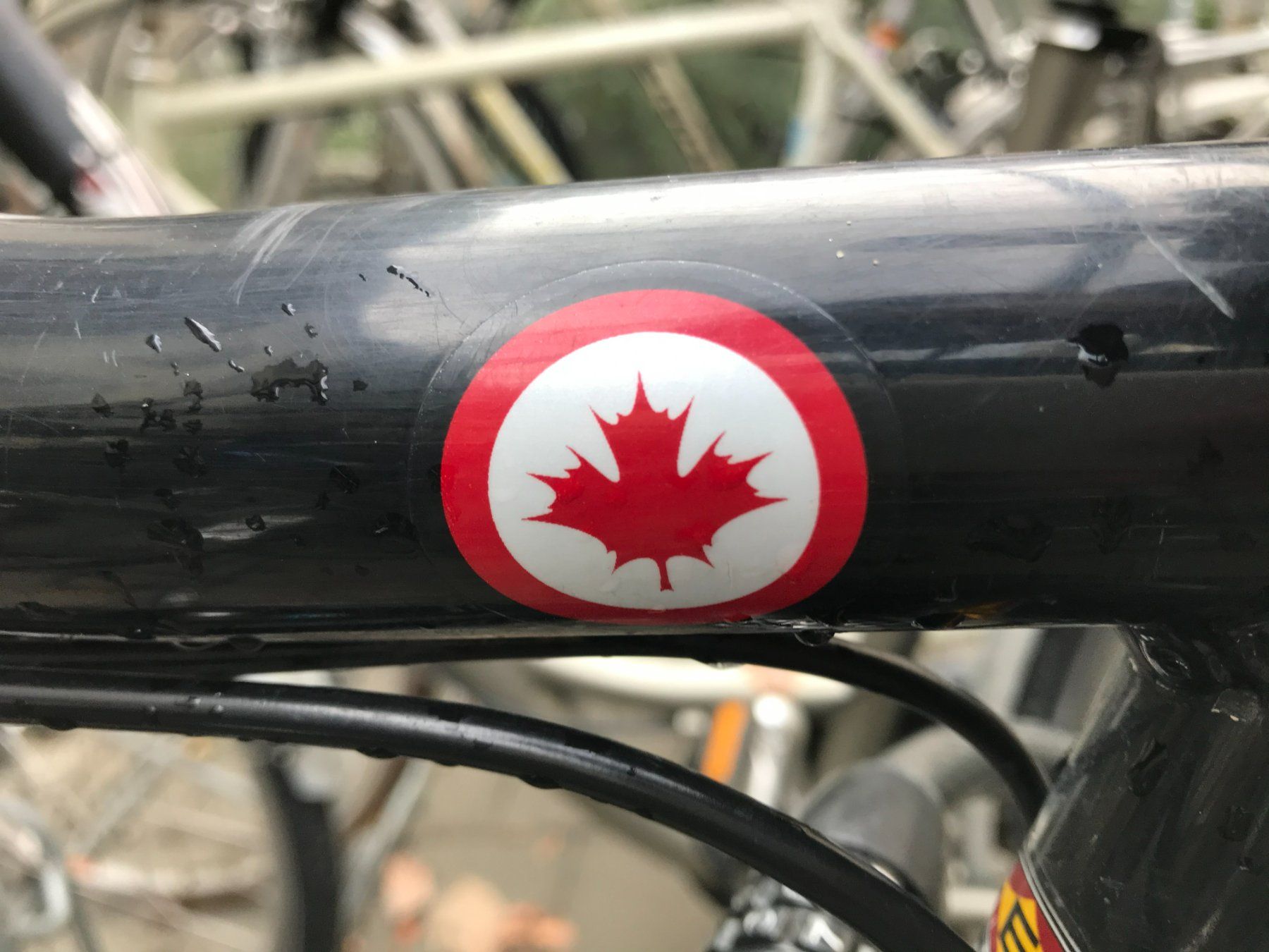 Rocky Mountain Bicycles Biciclette: Rocky Mountain Bike Fully – Usato da Zürich venduto da Kaasil 8