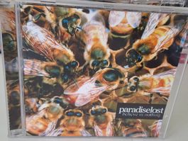 CD Paradise Lost - Believe in Nothin / Gothic Metal