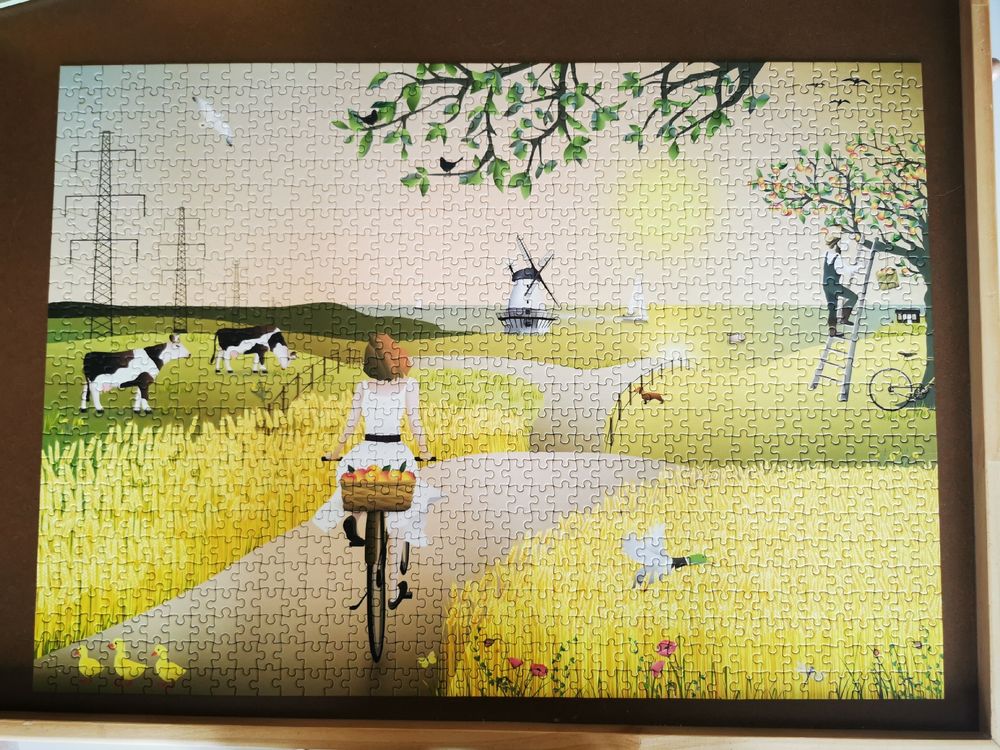 Puzzle Vissevasse 1000 pièces complet Kaufen auf Ricardo