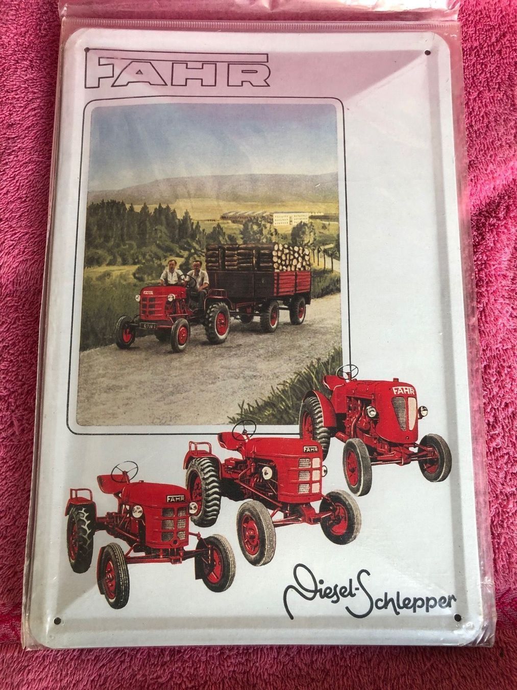Insegne: Fahr diesel schlepper Oldtimer Traktor – Nuovo (secondo la descrizione) da Reinach AG venduto da rares75
