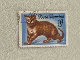 SALE ! Romania Briefmarken ab 1 CHF (Gratis-Versand)