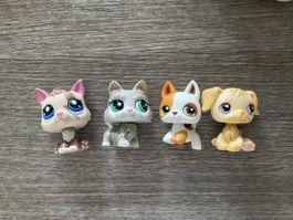 4 Littlest Pet Shop Figuren Tiere Set gebraucht