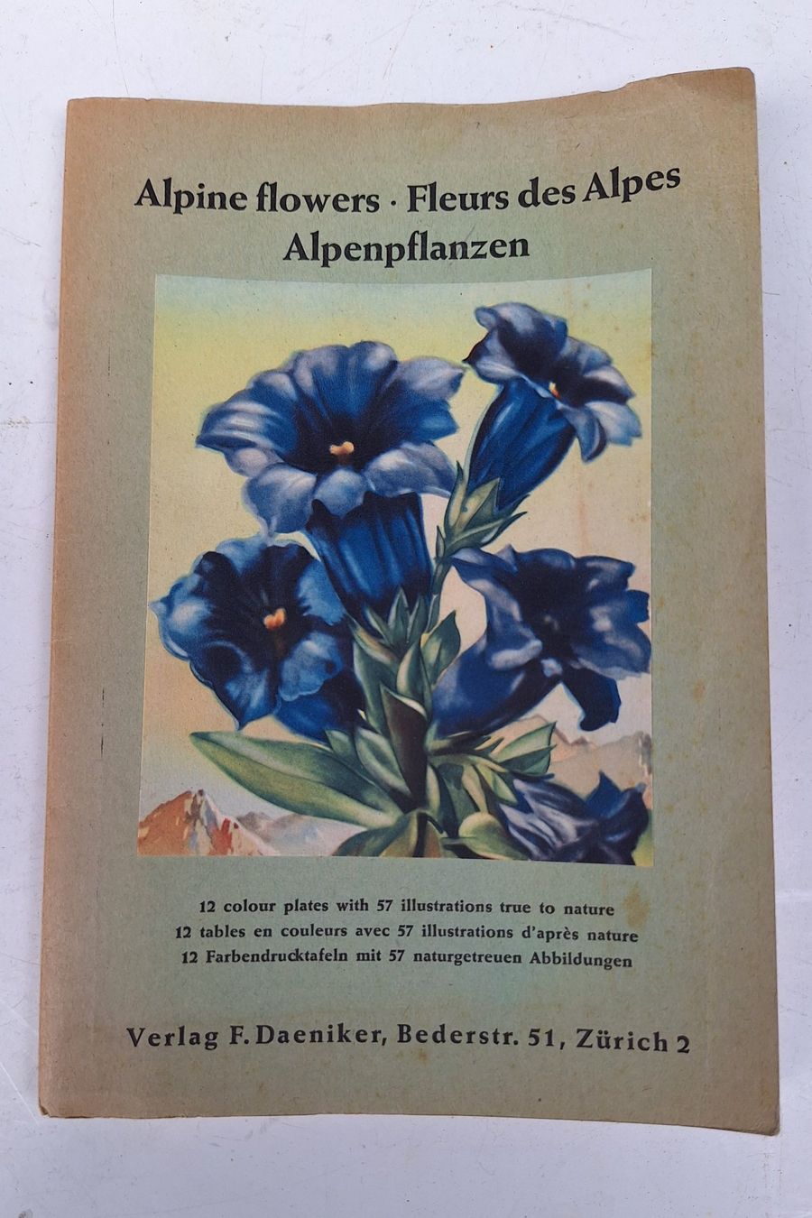 Libri: Alpenblumen - Fleurs des Alpes – Usato da Weinfelden venduto da JoeBaer