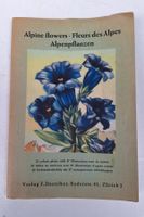 Alpenblumen - Fleurs des Alpes