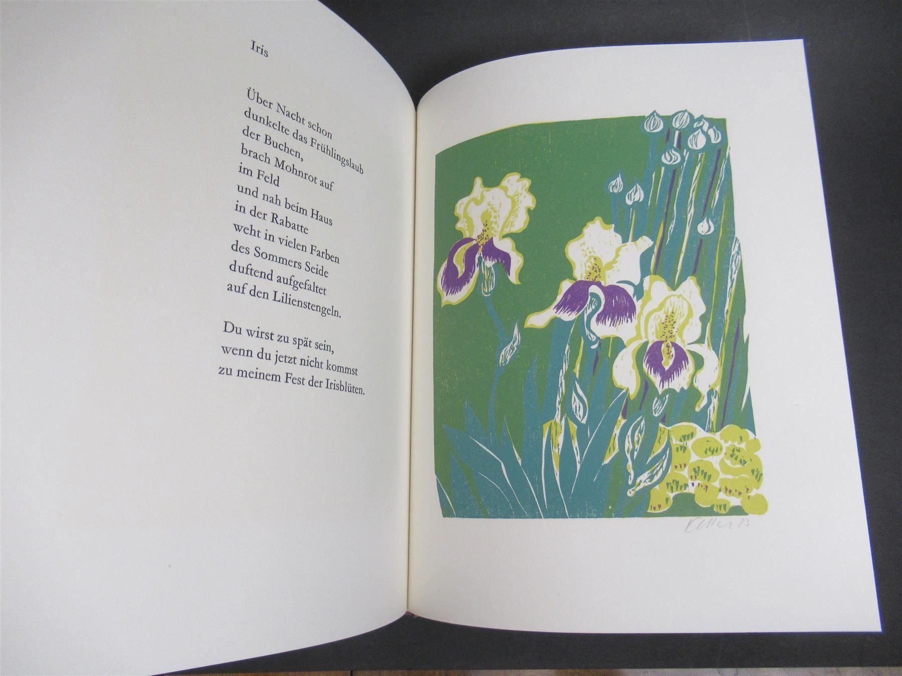 Libri: Heinz Keller 7 signierte Holzschnitte – Usato da Adliswil venduto da buch_und_kunst 7