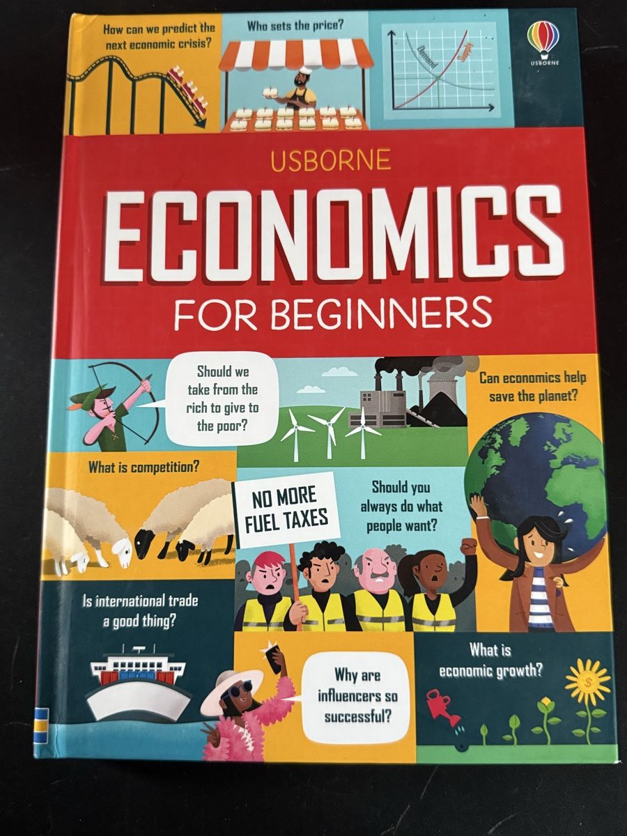 Bücher: Economics for Beginners – Neu (gemäss Beschreibung) aus Thalwil von MB-7