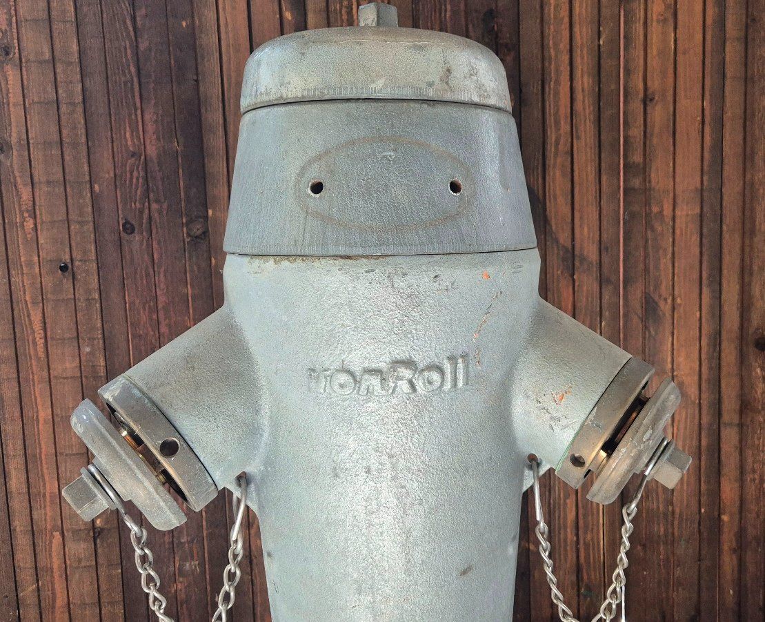 Estintori: Hydrant Von Roll 5000, funktionsfähig – Usato da Neerach venduto da JohannJucker65 4