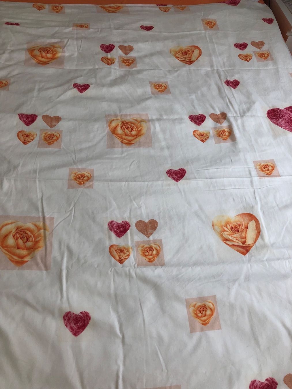 Biancheria da letto: Fourre de duvet 160 x 210 – Usato da Delémont venduto da stella063