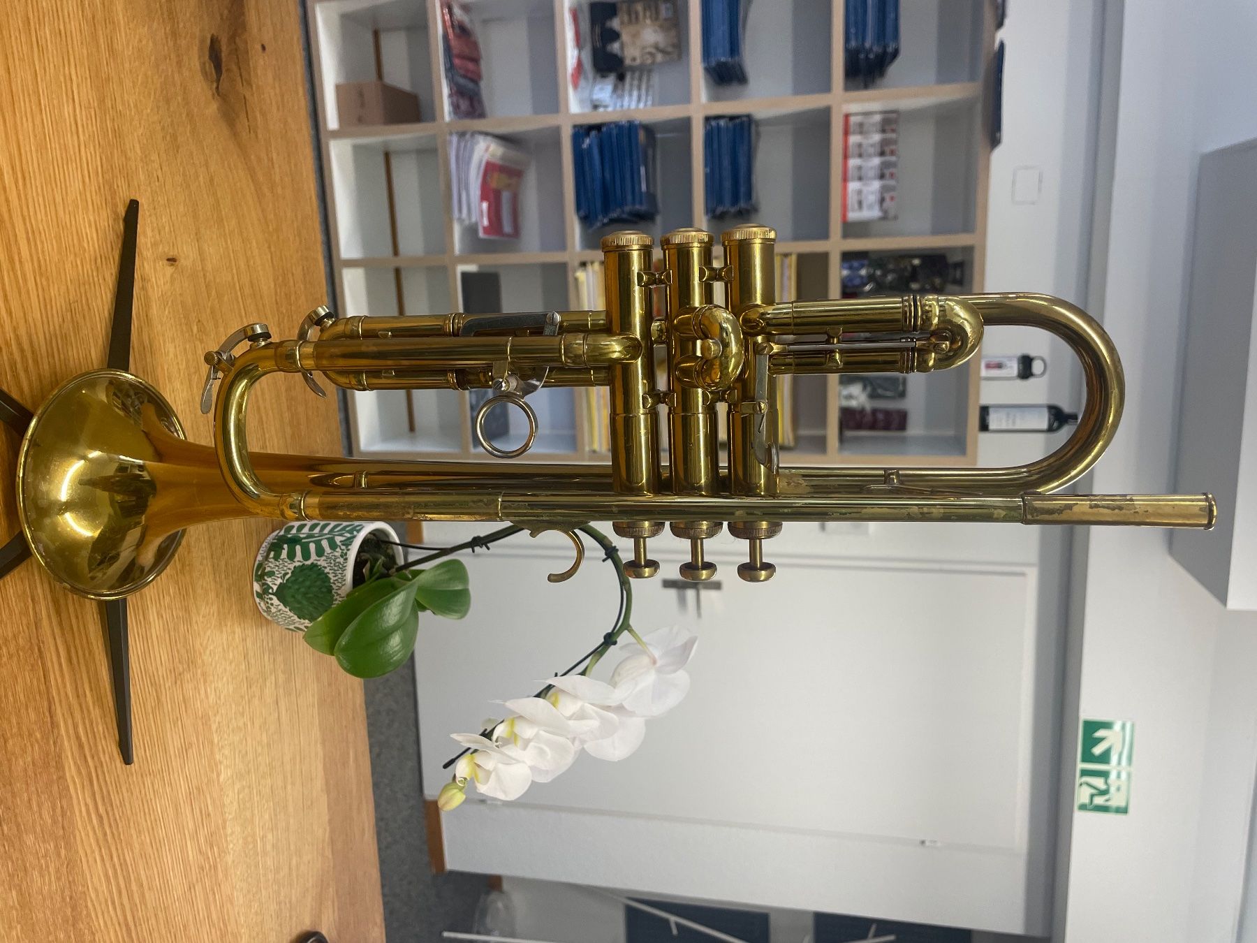 Strumenti musicali: Bb-Trompete Olds "Mendez" – Usato da Bern venduto da Daretobereal