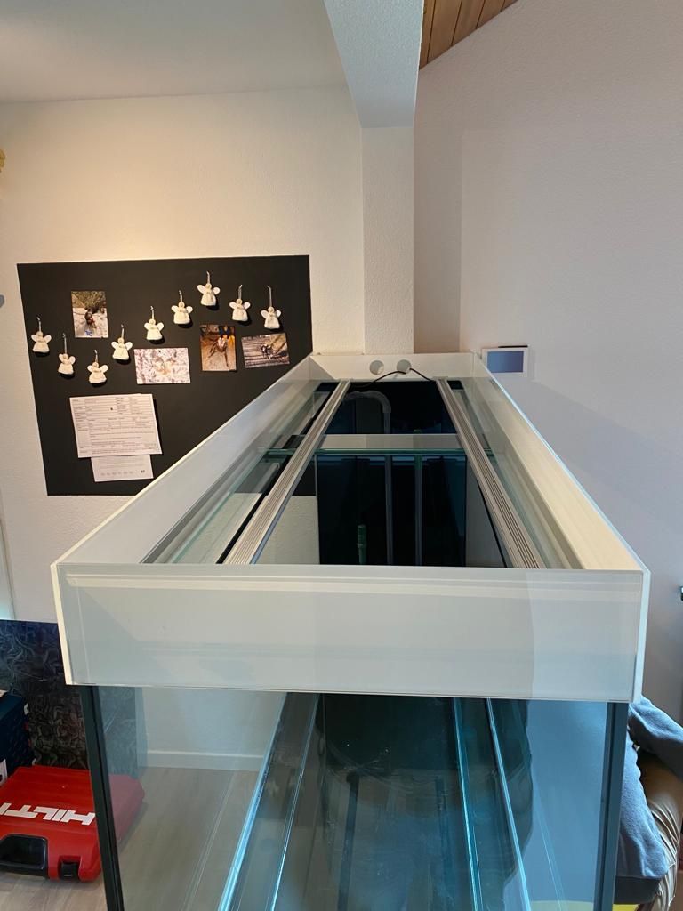 Acquari: Aquarium 170x60x70 – Nuovo (secondo la descrizione) da Berikon venduto da fischundart 7