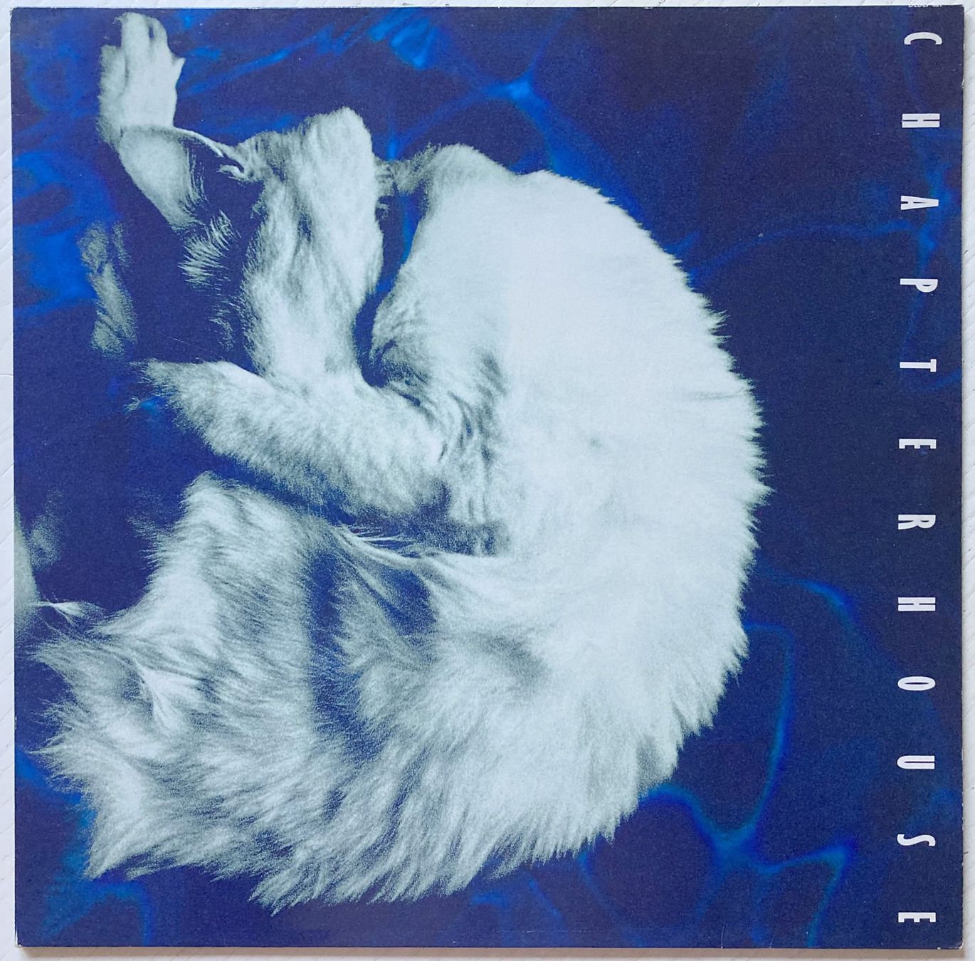 Dischi in vinile: CHAPTERHOUSE - WHIRLPOOL – Usato da Bottens venduto da hotter-than-hell