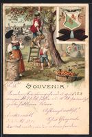 Litho Frauenfeld, Kakao Suchard, Bauernf