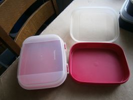 Tupperware 2 Stuck Kasten mit Deckel