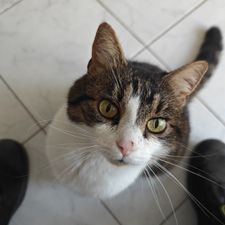 Profile image of Thusi