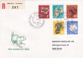 FDC Pro Juventute Serie 1965 ET Bern 1.12.1965 Hans Erni