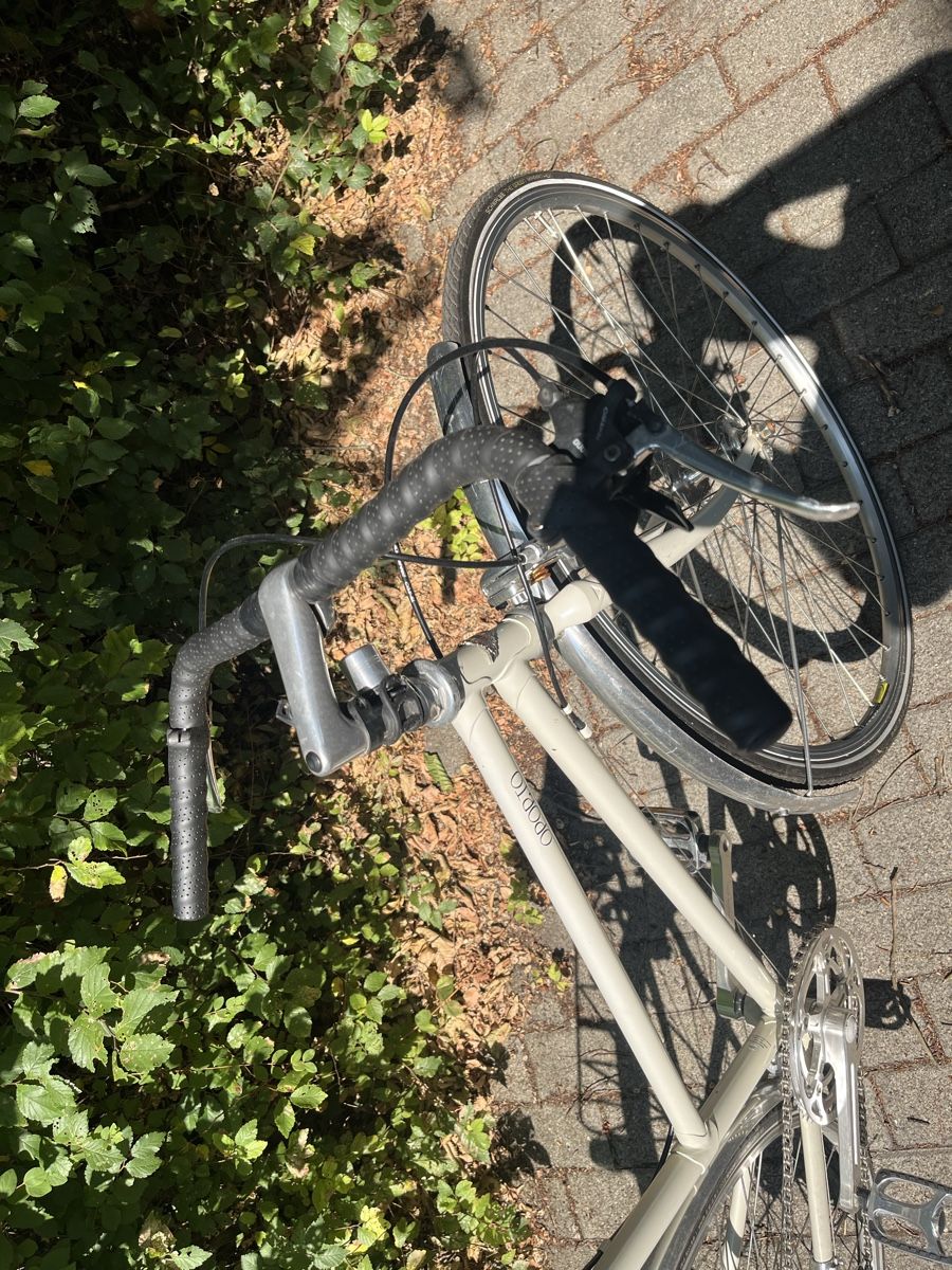 Velos: Damenvelo guter Zustand – Gebraucht aus Allschwil von Gabi745i 1