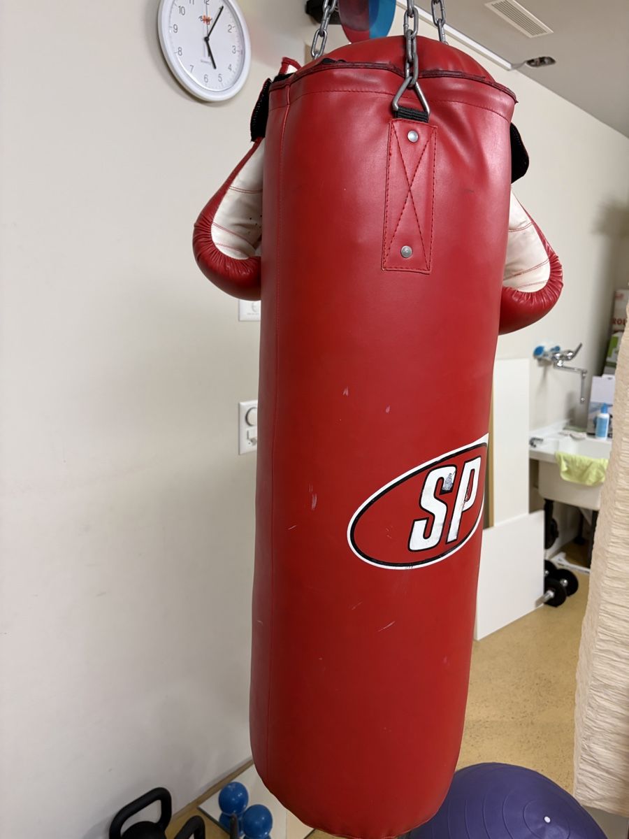 Sacs de frappe: Boxsack Inkl. Handschuhe. – D'occasion à Pfäffikon ZH par cei_g59g 1
