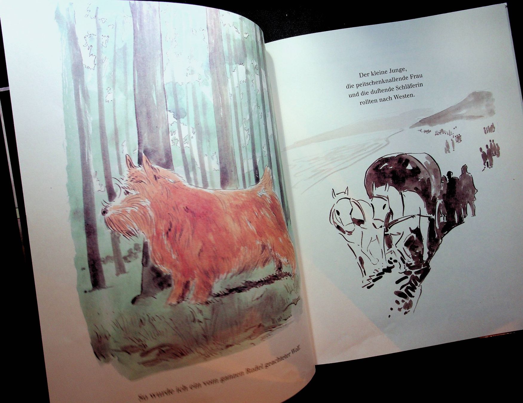 Libri: F. K. Waechter Der rote Wolf Diogenes EA 1998 – Usato da Reitnau venduto da Zaomir 5