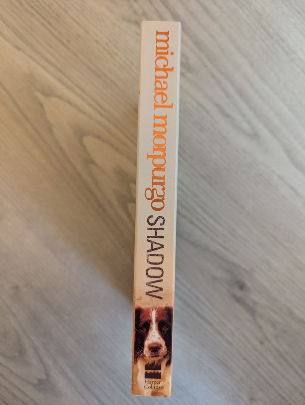 Bücher: Michael Morpurgo "Shadow" Jugendbuch Englisch – Gebraucht aus Goldingen von YouAreMySunshine 1
