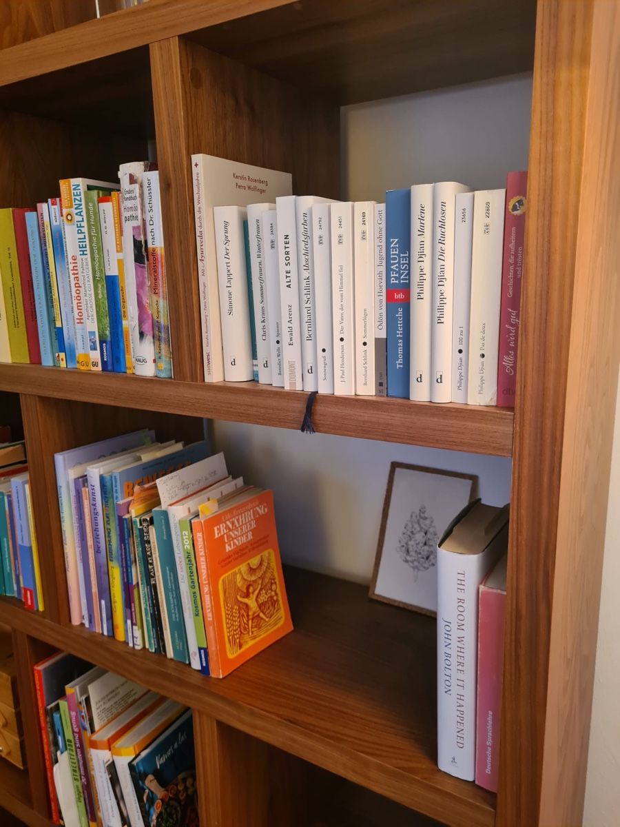 Scaffali: Bücherregal – Usato da Langenthal venduto da jon_q9jg 2