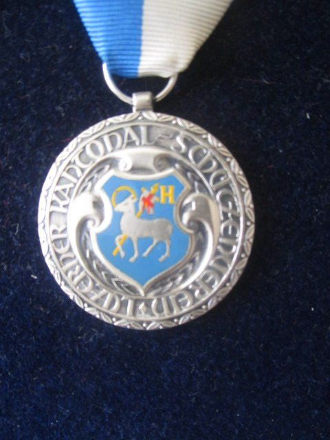 Medaglie: Luzerner Stich 1981 emailliertes Gemeindewappen Hergiswil – Nuovo (secondo la descrizione) da Luzern venduto da Horoskop1 1