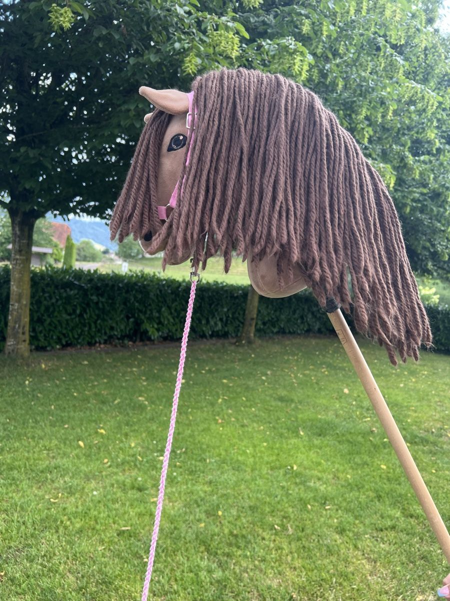 Spielzeuge: Hobby Horse Steckenpferd  – Gebraucht aus Dietwil von sarn 3