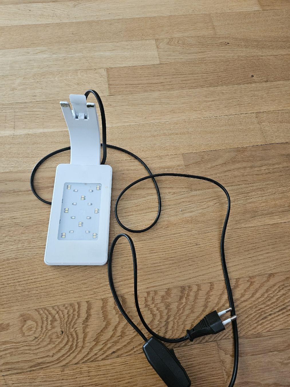 Aquarium: Dennerle nano Cube 20L mit Filter, Heizstab, Lampe usw. – Gebraucht aus Brüttisellen von Thebananaboom 5