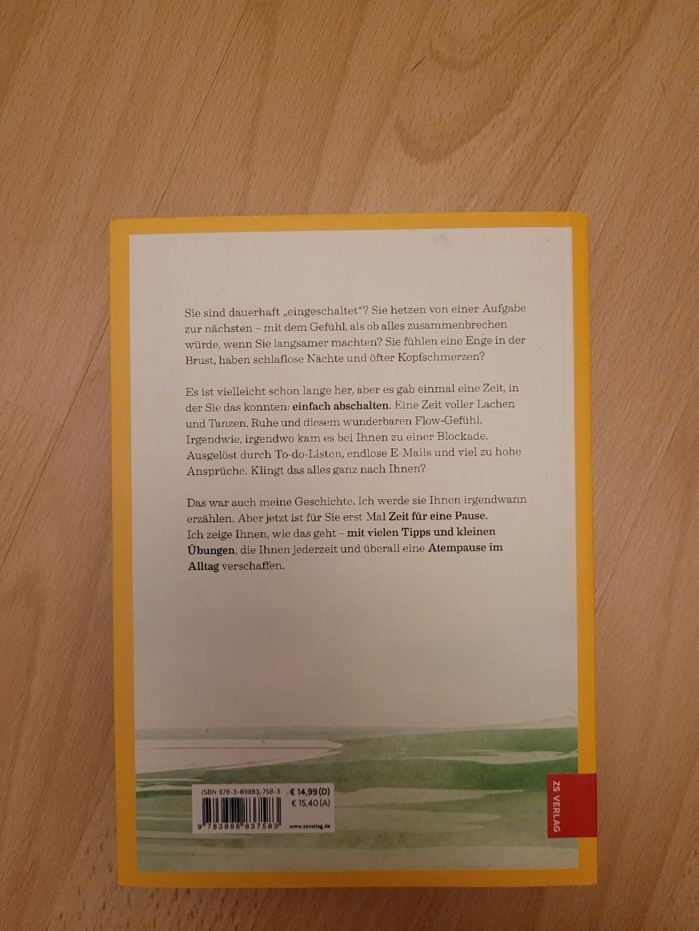 Libri: Wie Sie auf PAUSE drücken,Danielle Marchant – Usato da Perlen venduto da Safari_23 1