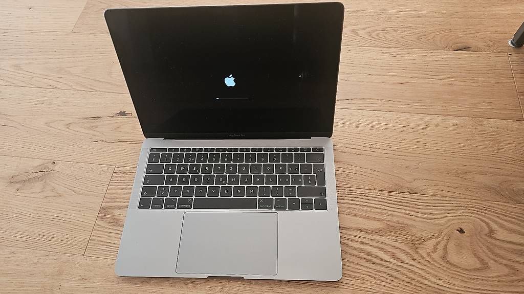 Notebook: Macbook Pro 2017, mit Tastatur und Maus – Usato da Basel venduto da dam_58dl 4