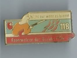 Feuerwehren des Bezirks Höfe Pin