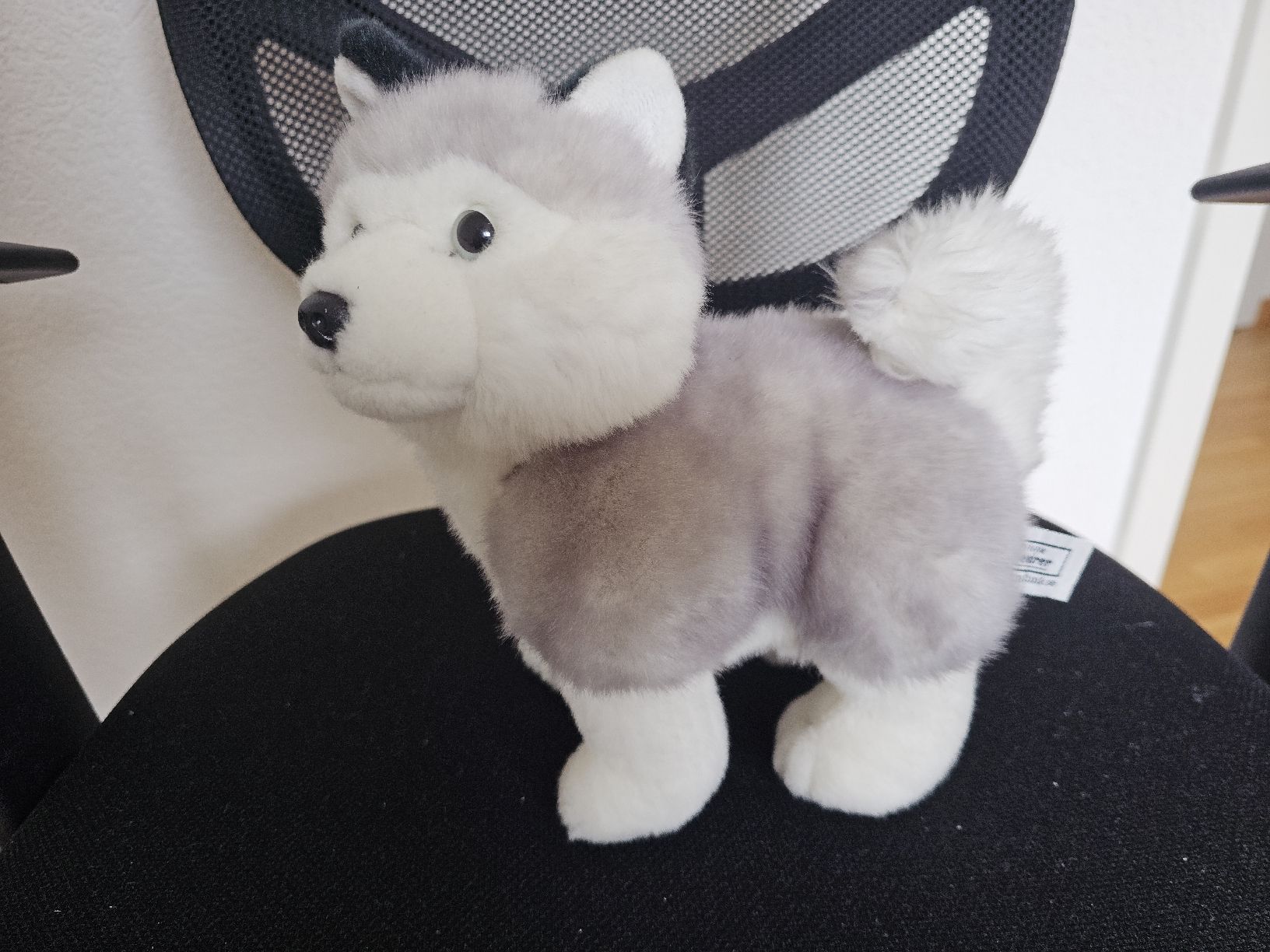 Giocattoli: Peluches animaux – Nuovo (secondo la descrizione) da Forel (Lavaux) venduto da Clelia94 1