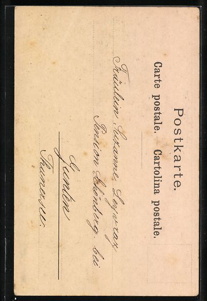 Cartoline postali: Lithographie Besucher am Bärengraben – Usato da Berlin venduto da bartko-reher 1