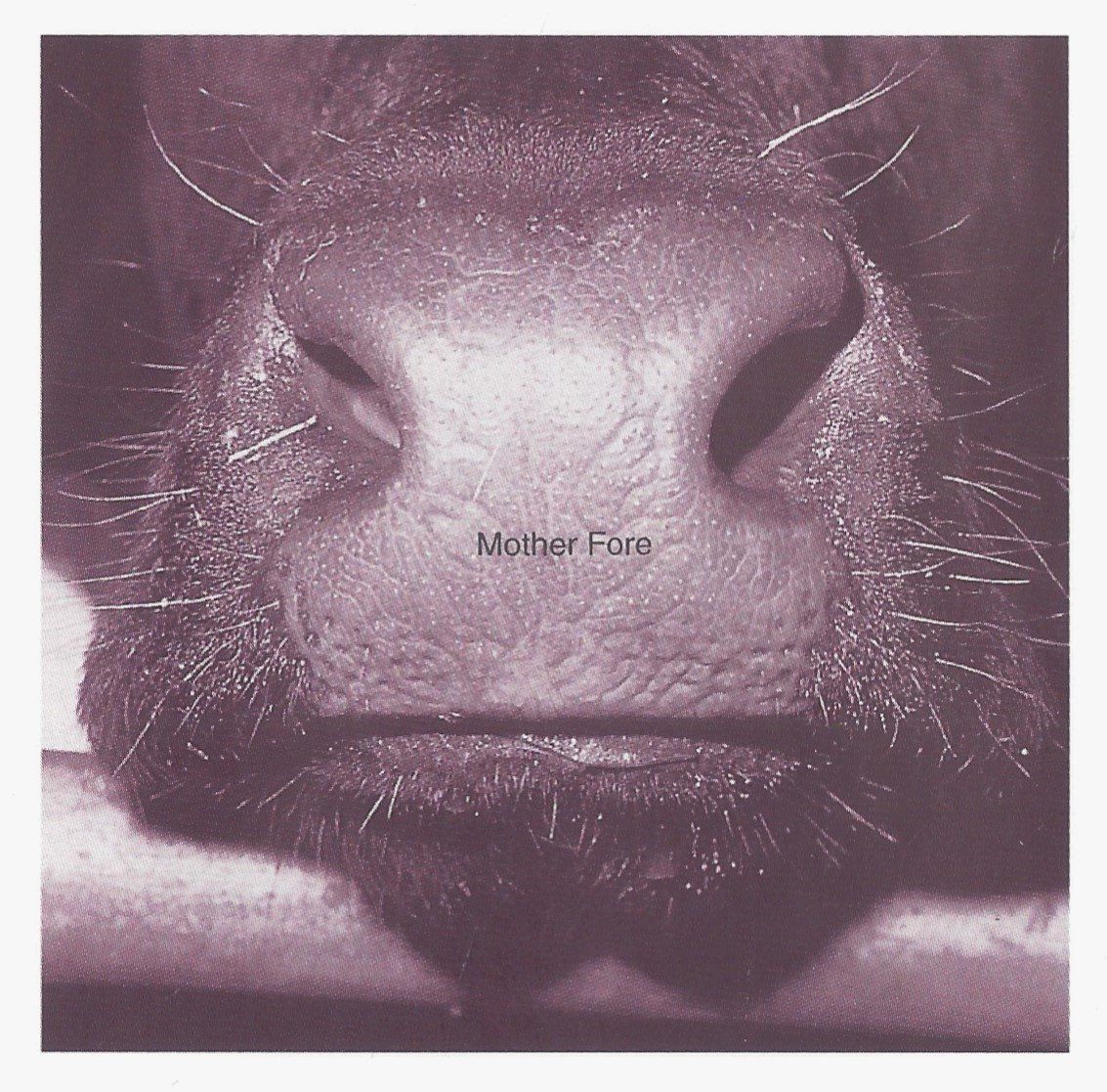 CDs: Pink Floyd ATOM HEART MOTHER  Prog Rock Psychedelic Rock CD – Gebraucht aus Kandergrund von Sososo 4