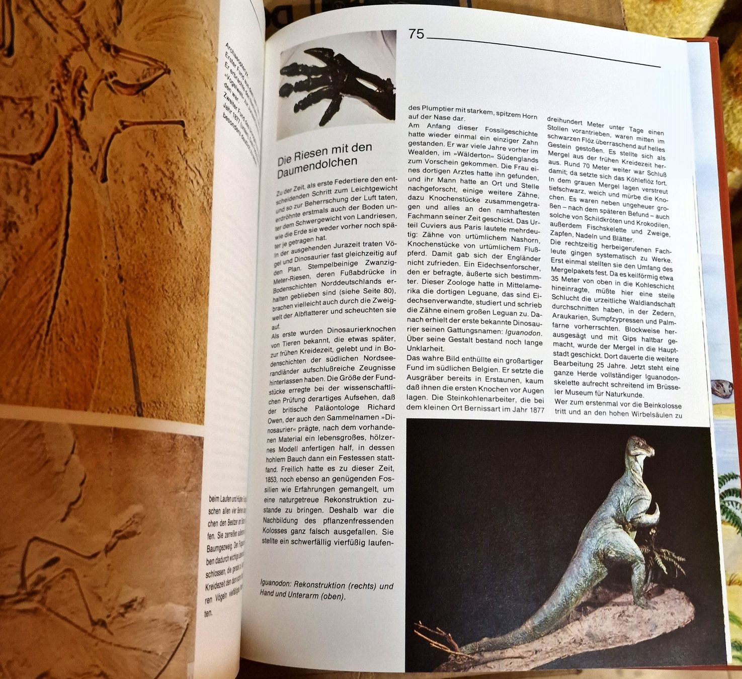 Livres: Dinosaurier und andere Tiere der Urzeit – D'occasion à Winterthur par Versus0 5