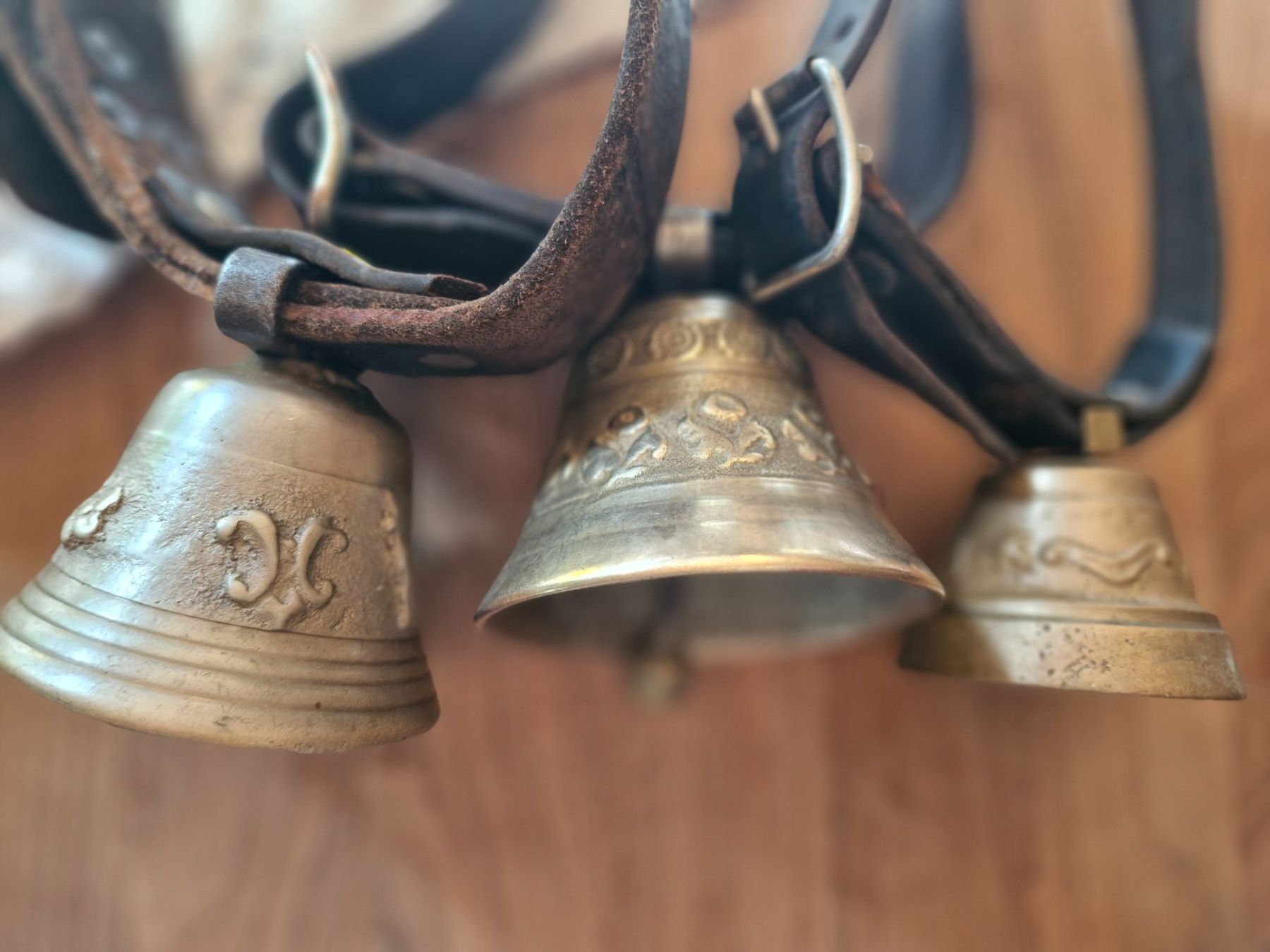 Campanacci mucche: Ziegen-Schaftreicheli – Usato da Guarda venduto da rue_bpd7 3