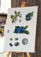 A3 Frucht Druck Print von Handgemalte Botanische Blaubeere
