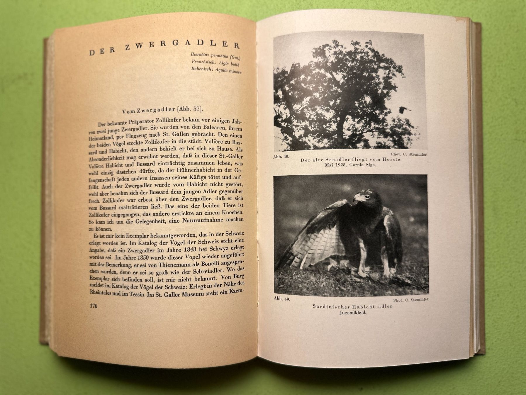 Libri: Carl Stemmler: Die Adler der Schweiz. – Usato da Zürich venduto da allp 5