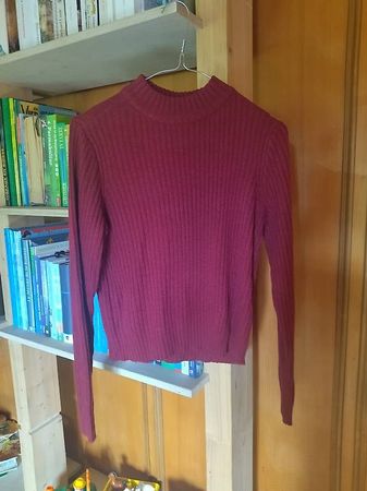 H&M Knit & Wine Red Turtleneck