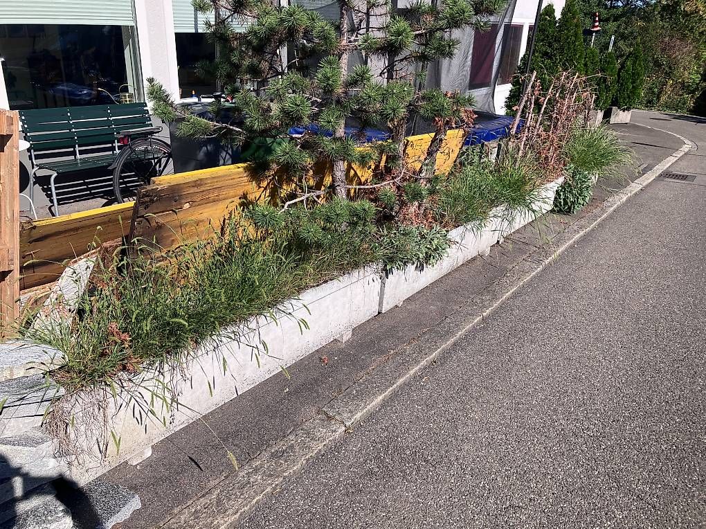 Eternit Vasi per fiori: 5xGrosse Blumenkübel – Usato da Zürich venduto da Jora008