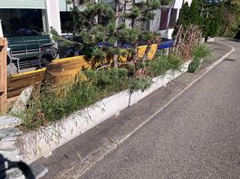 5xGrosse Blumenkübel