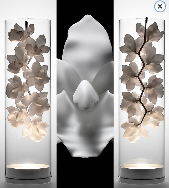 Lampade: Jeremy Cole Cymbidium Stehleuchte – Usato da Zollikerberg venduto da sop_p82l