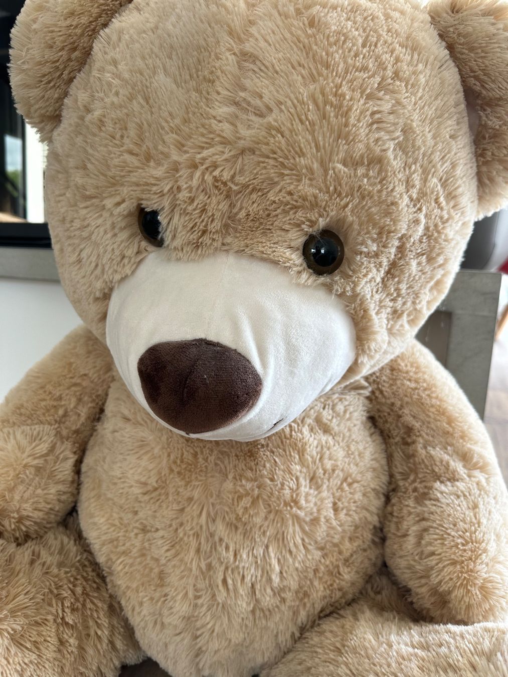 Giocattoli: Grosser Teddybär sucht neues Zuhause – Usato da Wigoltingen venduto da Sashpa 4