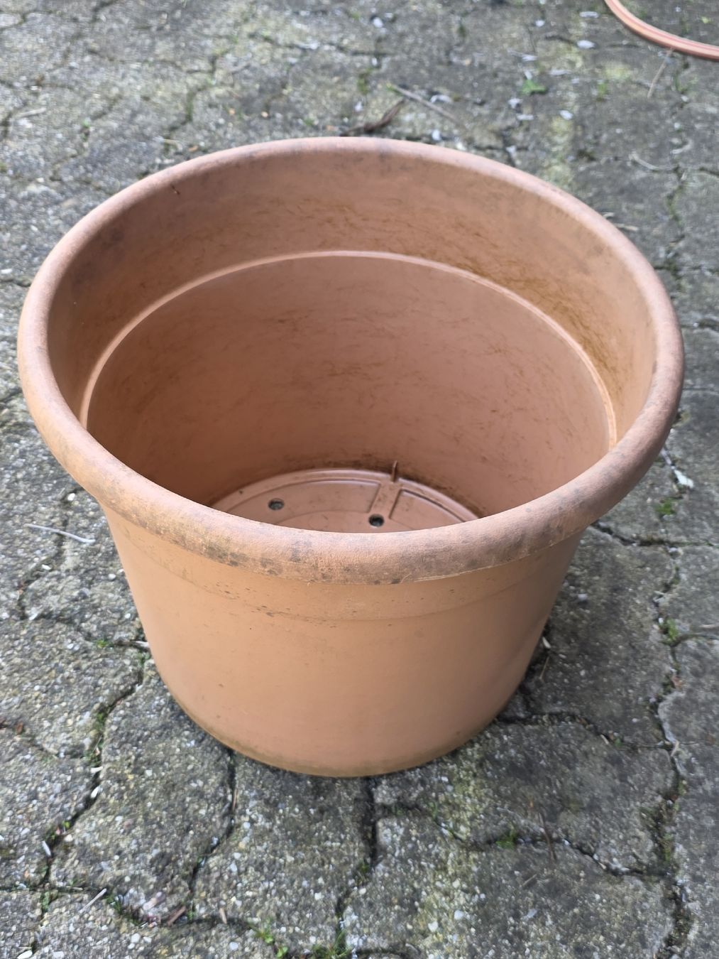 Vasi per fiori: Large plastic plant pot. – Usato da Hinwil venduto da Ehretstock8 1