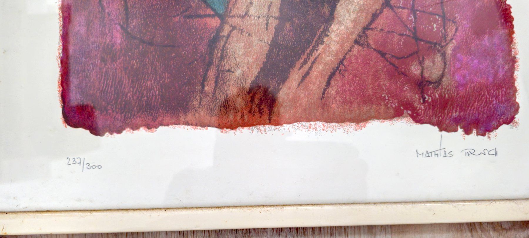 Foto & Immagini: Kunstdrucke von Matthias Rush – Usato da Walenstadt venduto da pedroju-1 2