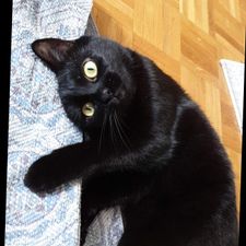 Profile image of MonVideGrenier