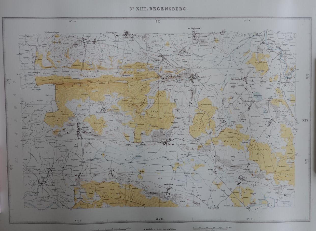 Cartine & Atlanti: Regensberg, Siegfriedkarte von 1881 – Nuovo (secondo la descrizione) da Dielsdorf venduto da bonambler
